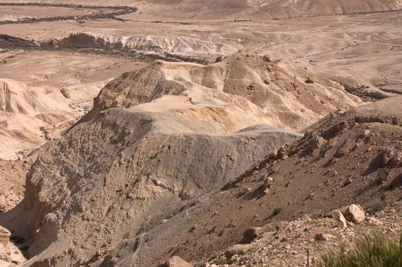 Negev Desert