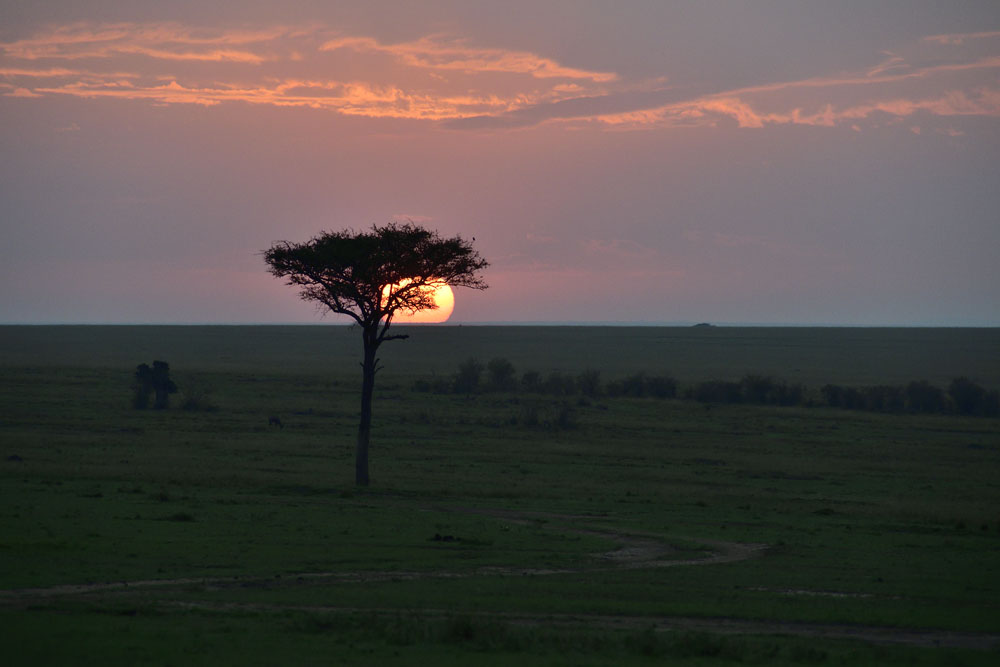 The Maasai Mara