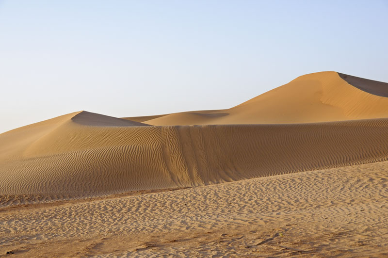 Dunes in the Sahara Desert