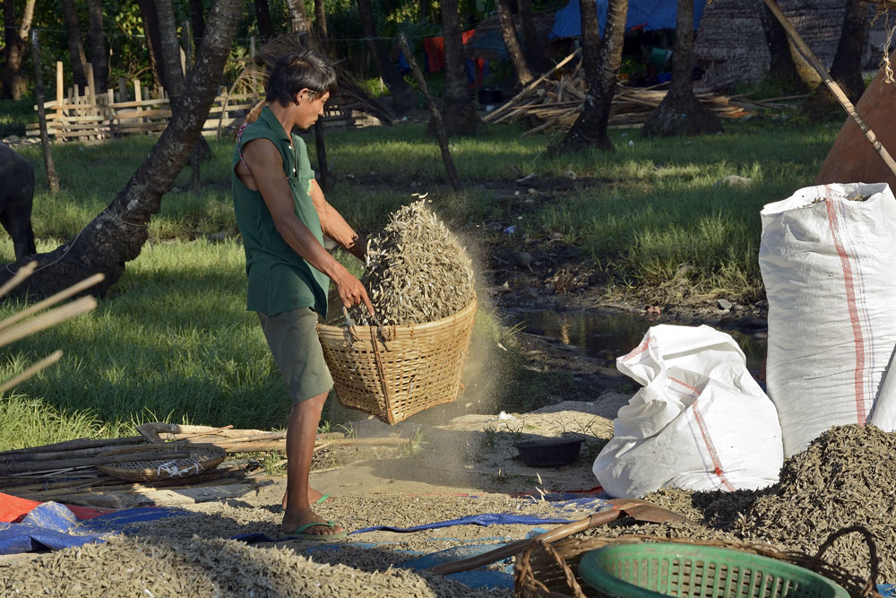 Shaking basket of dry fish to remove sand
