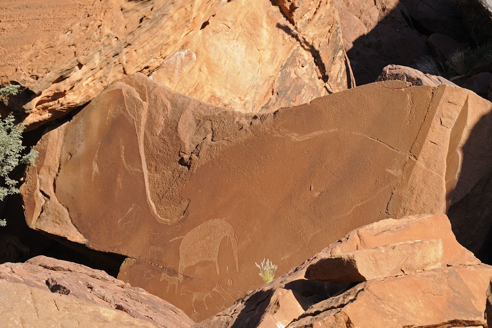 Ancient bushman rock engravings at Twyfelfontein