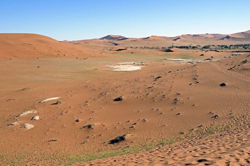 Sandy desert with sparse vegetation