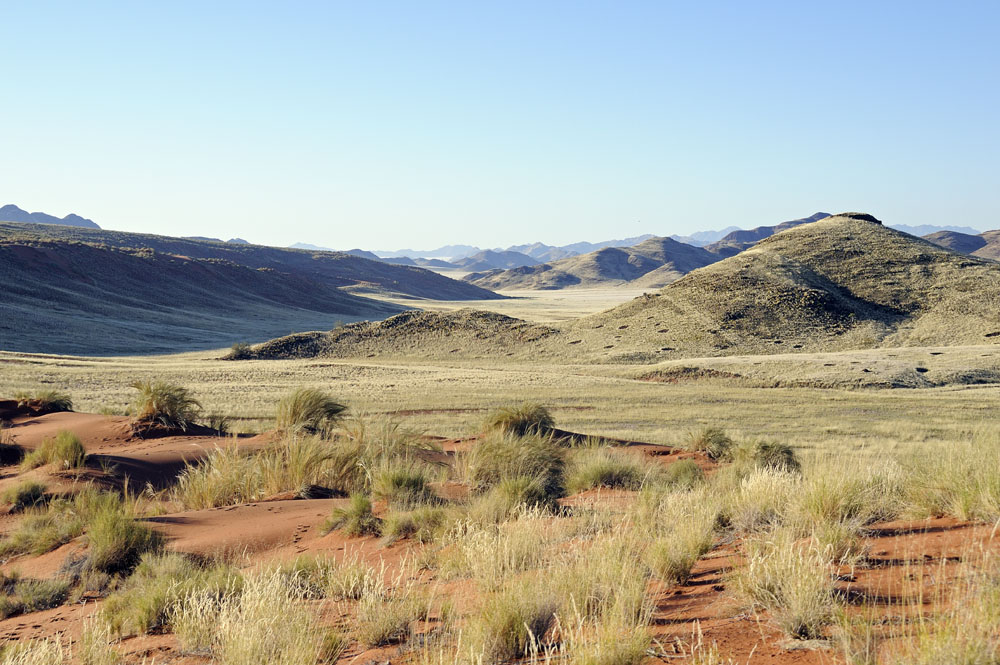 Landscape with fairy circles in Namib Rand Nature Reserve