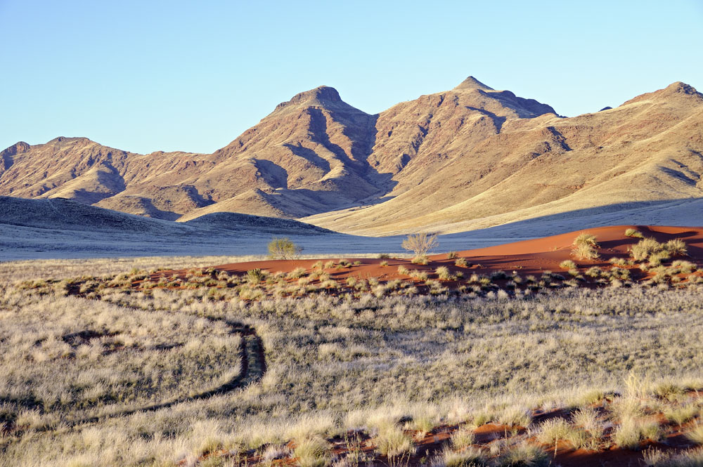 Vista in Namib Rand Nature Reserve 