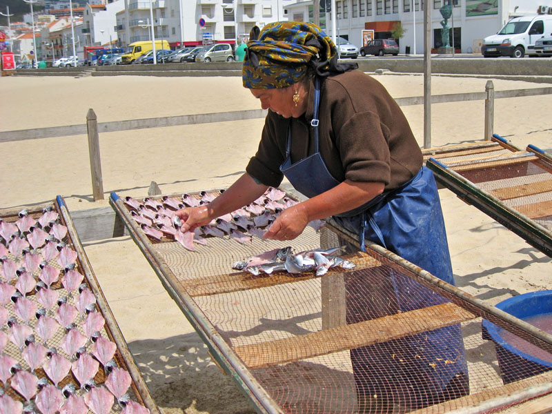 Drying sardines on the beach