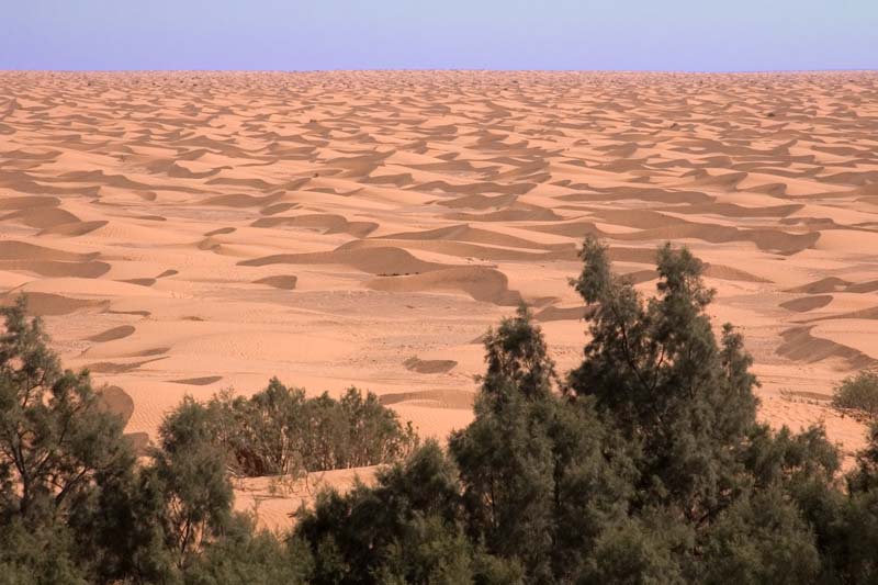 Tunisia 2005 - Sahara Desert, Ksar Ghilane oasis
