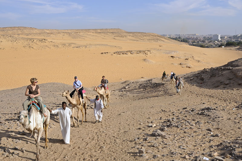Our group riding to Monastery of St. Simeon on camels