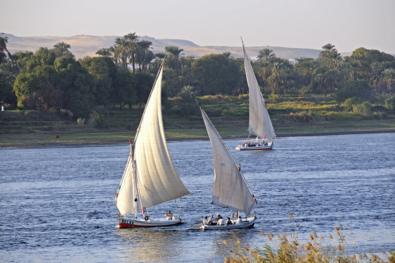 Falukas on the Nile