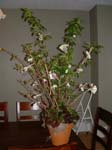 DSCF0289