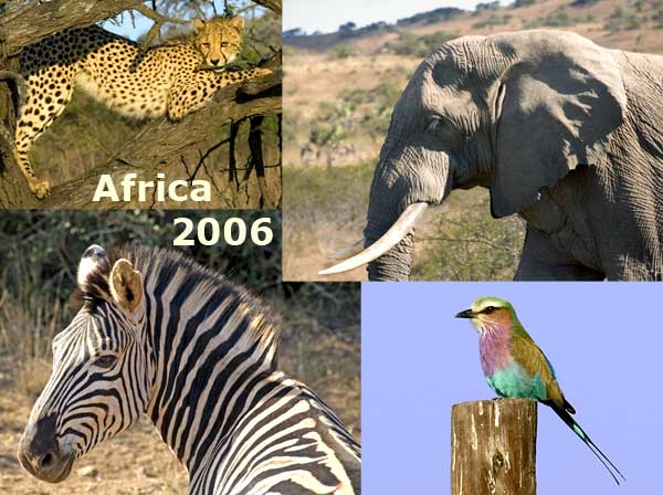 Africa 2006