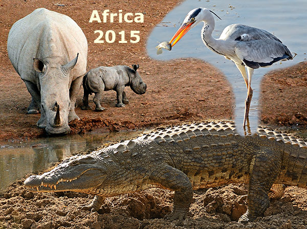 Africa 2015