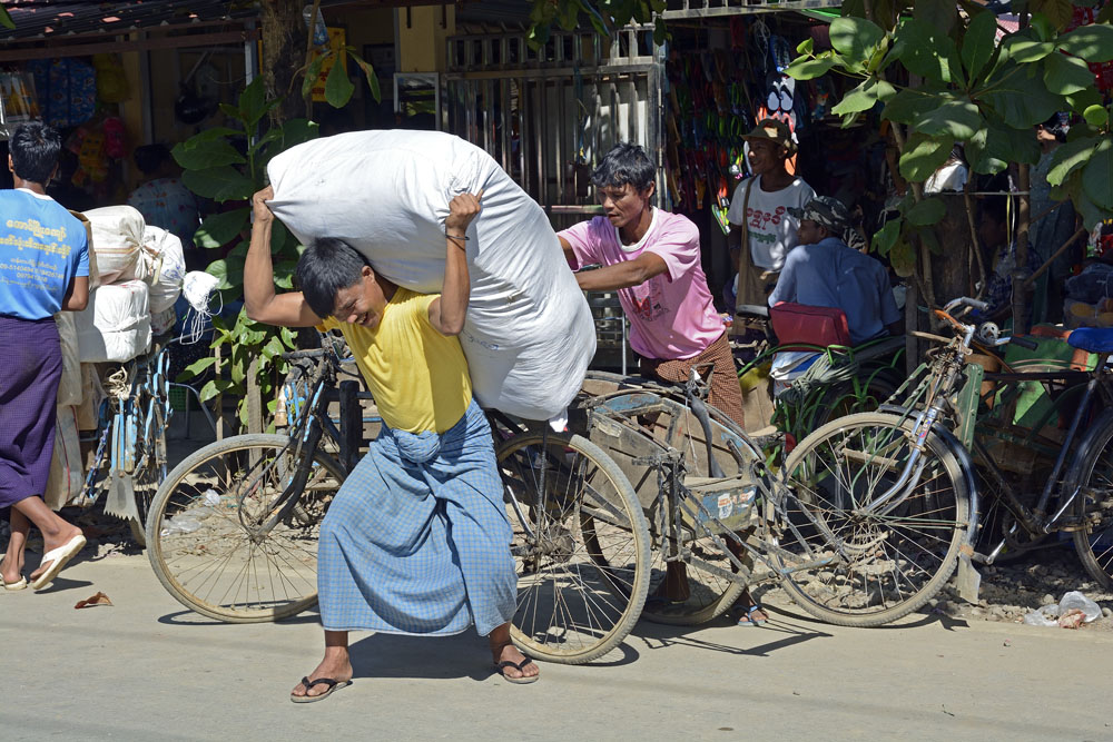 Unloading cargo from bicycle (4 of 4)