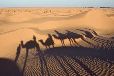 Sahara and camel ride