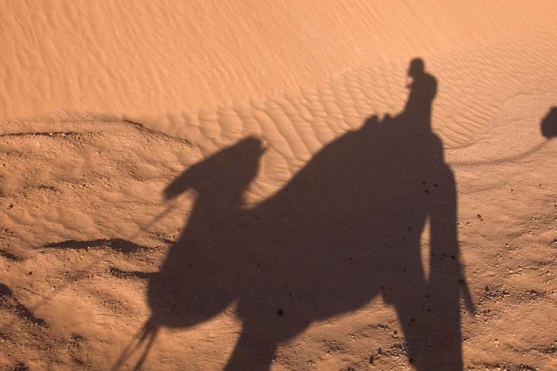 Tunisia 2005 - Sahara Desert, camel ride