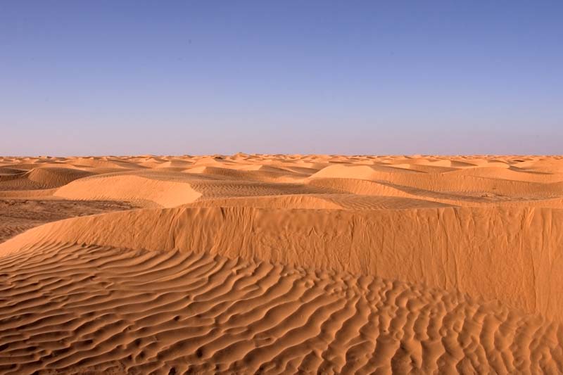 Tunisia 2005 - Sahara Desert, sand dunes on camel ride